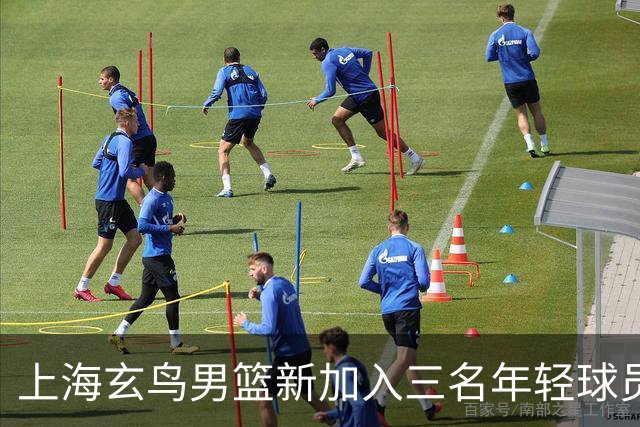 上海玄鸟男篮新加入三名年轻球员，未来可期
