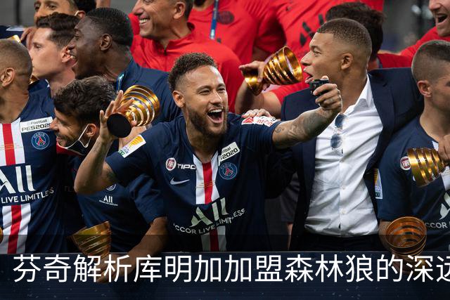 芬奇解析库明加加盟森林狼的深远意义